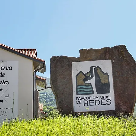 Reserva De Redes * Campo de Caso