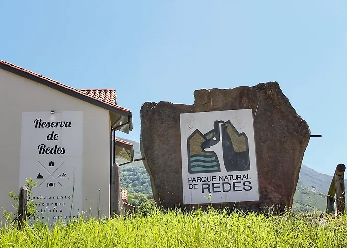 Reserva De Redes * Campo de Caso