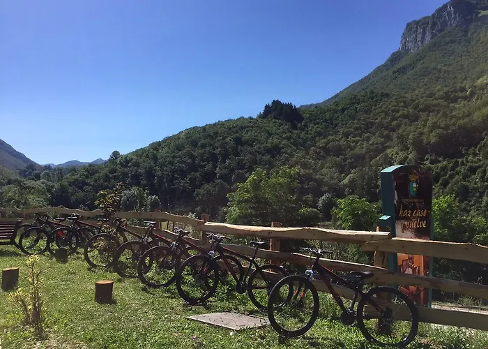 Reserva De Redes * Campo de Caso