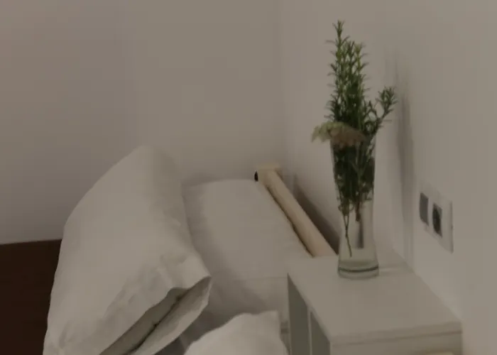 Reserva De Redes * Campo de Caso